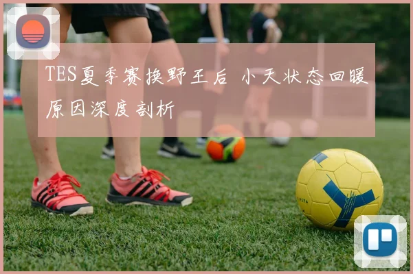 TES夏季赛换野王后 小天状态回暖原因深度剖析